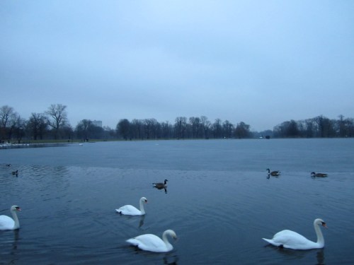 Hyde Park